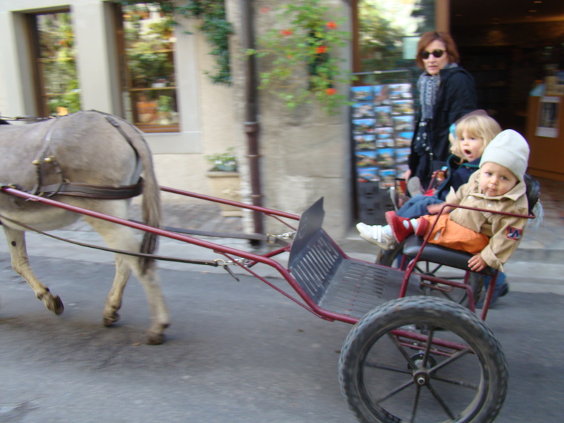 2008 10-Donkey Cart Yvoire France.jpg